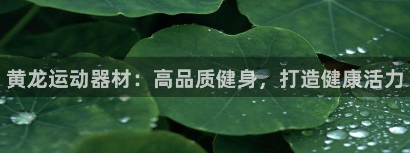 意昂体育3平台APP：黄龙运动器材：高品质健身，打造