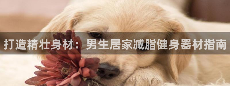 意昂3集团：打造精壮身材：男生居家减脂健身器材指南