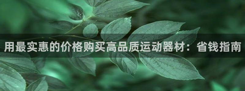 意昂3集团logo：用最实惠的价格购买高品质运动器材