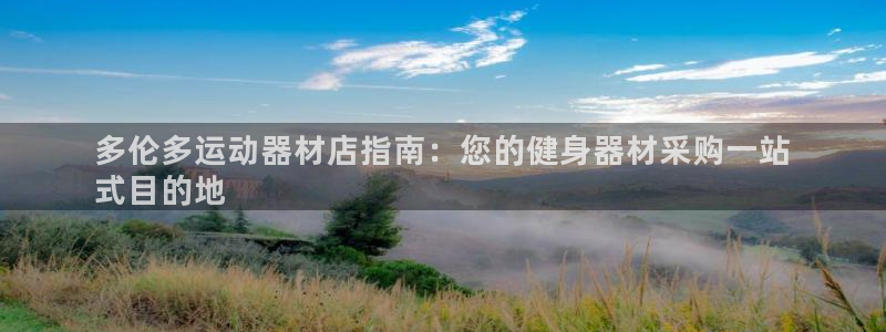 意昂3娱乐下载：多伦多运动器材店指南：您的健身器材采
