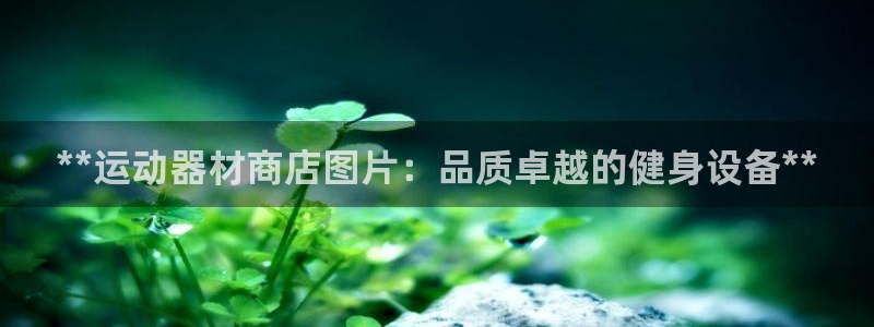 意昂3娱乐平台：**运动器材商店图片：品质卓越的健身