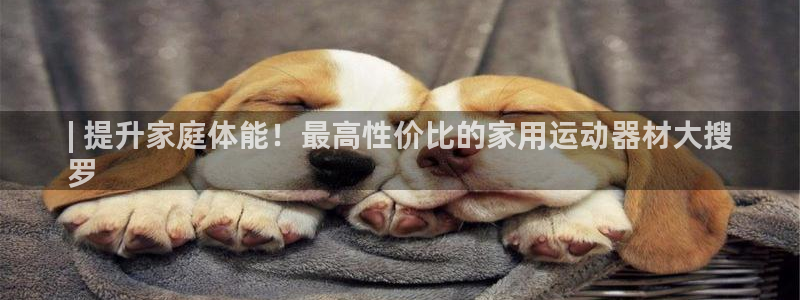 意昂体育3招商：| 提升家庭体能！最高性价比的家用运