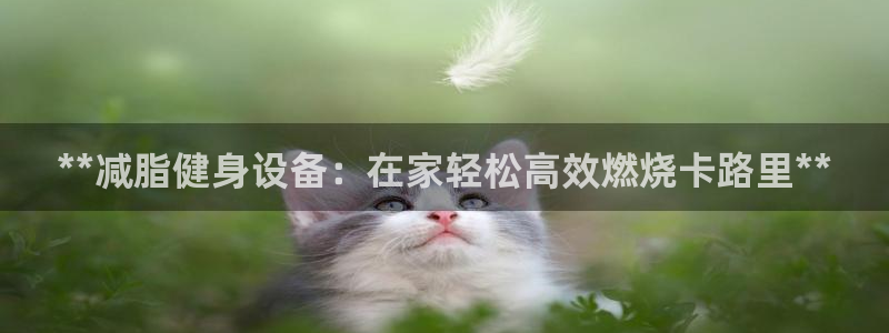 海南意昂体育3发展怎么样：**减脂健身设备：在家轻松