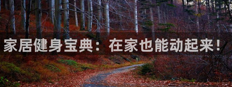 意昂体育3平台注册要钱吗安全吗：家居健身宝典：在家也