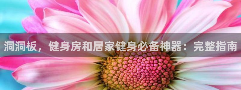 意昂体育3招商电话号码是多少啊：洞洞板，健身房和居家