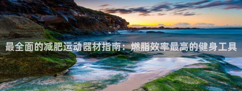 意昂体育3平台：最全面的减肥运动器材指南：燃脂效率最