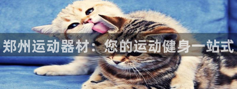意昂体育3软件：郑州运动器材：您的运动健身一站式