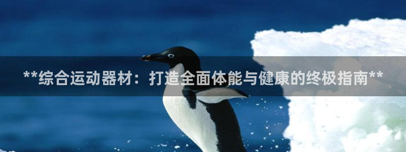 意昂体育3招商电话是多少号码：**综合运动器材：打造