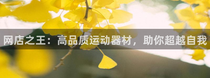 意昂体育3招商电话是多少啊：网店之王：高品质运动器材