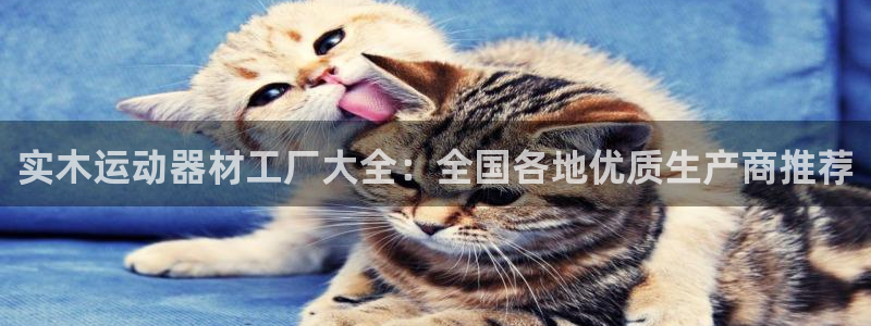 意昂3娱乐代理怎么样：实木运动器材工厂大全：全国各地