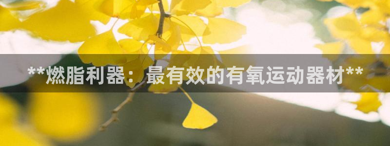 意昂3集团：**燃脂利器：最有效的有氧运动器材**