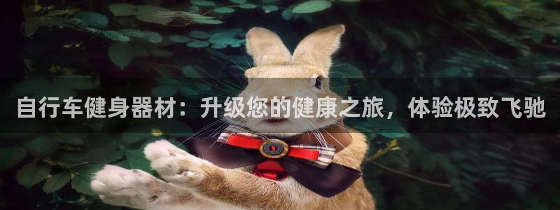 意昂体育3平台假的吗是真的吗吗：自行车健身器材：升级