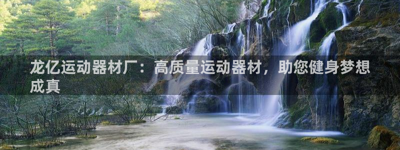 意昂3集团E.ON：龙亿运动器材厂：高质量运动器材，