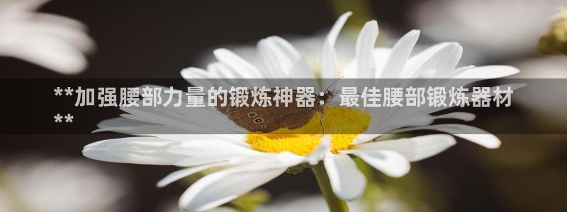 意昂3娱乐网站：**加强腰部力量的锻炼神器：最佳腰部