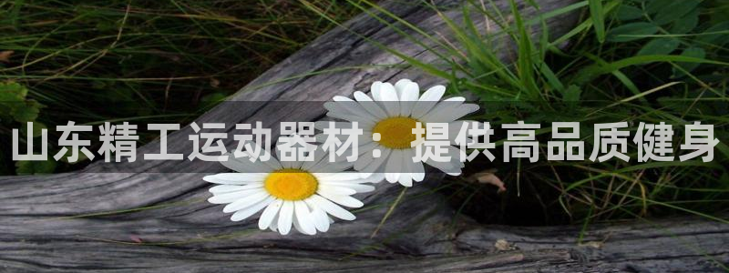 意昂3娱乐40996：山东精工运动器材：提供高品质健