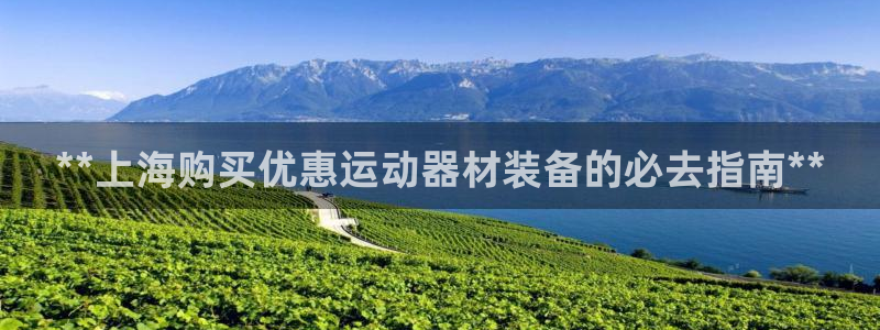 意昂体育3平台注册流程图：**上海购买优惠运动器材装