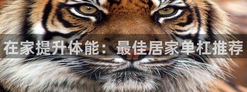 意昂3集团：在家提升体能：最佳居家单杠推荐