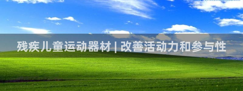 意昂体育3平台假的吗是真的吗吗：残疾儿童运动器材 |