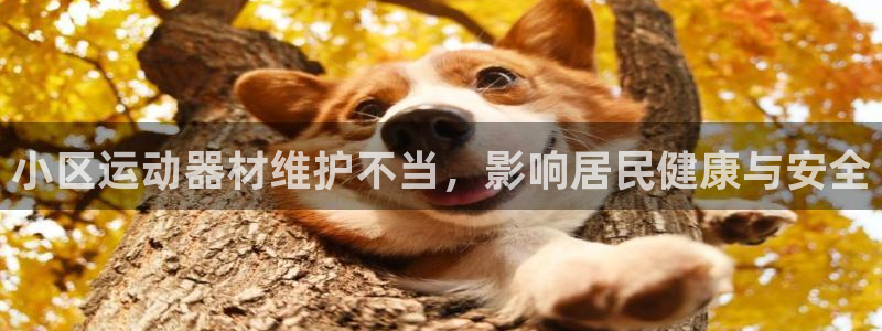 意昂体育3招商电话地址查询：小区运动器材维护不当，影
