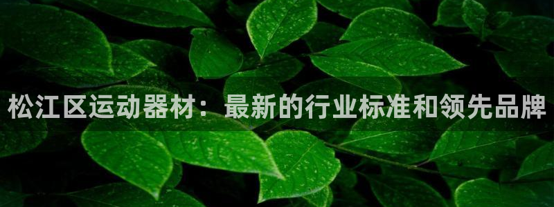 意昂体育3联系电话：松江区运动器材：最新的行业标准和