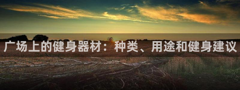 意昂3集团官网首页网址：广场上的健身器材：种类、用途