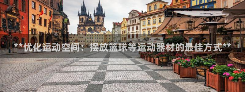 意昂3集团简介：**优化运动空间：摆放篮球等运动器材