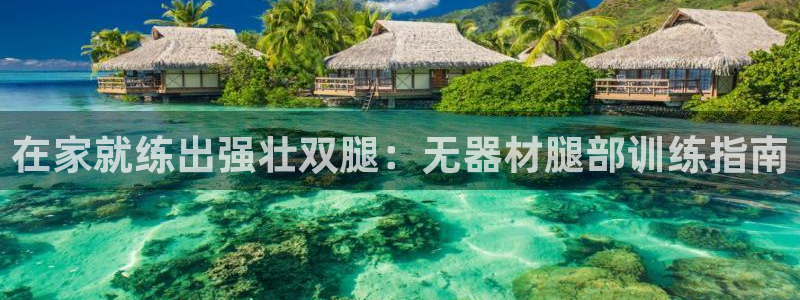 意昂体育3招商电话号码查询是多少：在家就练出强壮双腿