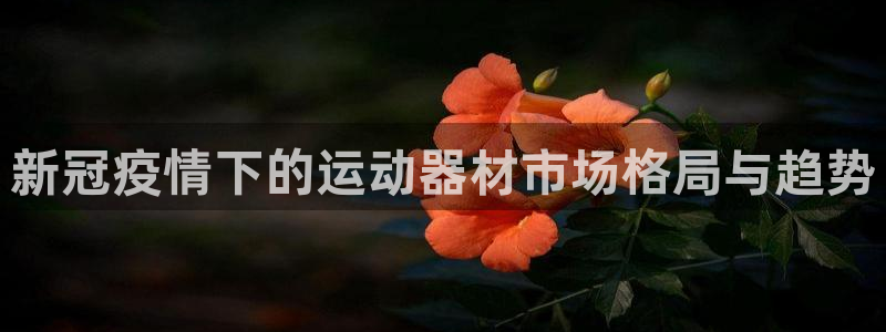 意昂体育3招商电话号码是多少：新冠疫情下的运动器材市