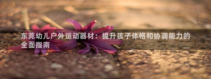 意昂3集团E.ON：东莞幼儿户外运动器材：提升孩子体
