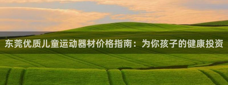意昂3娱乐：东莞优质儿童运动器材价格指南：为你孩子的