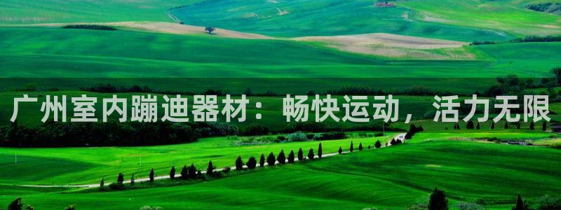 海南意昂体育3发展怎么样：广州室内蹦迪器材：畅快运动