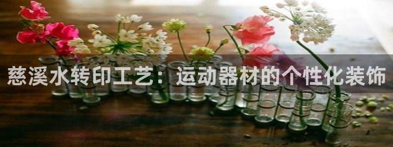意昂体育3招商电话号码查询是多少：慈溪水转印工艺：运