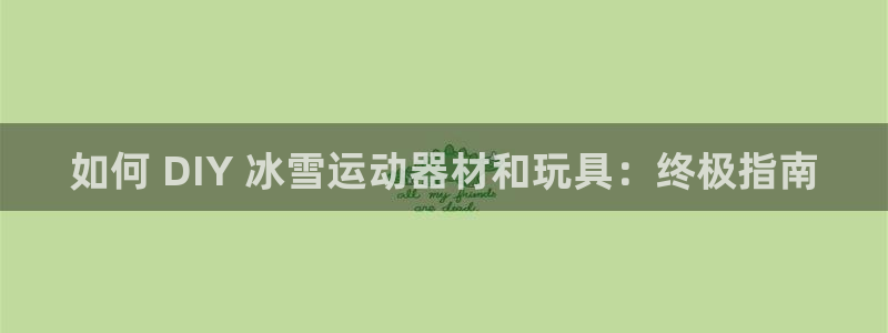 意昂3集团logo：如何 DIY 冰雪运动器材和玩具