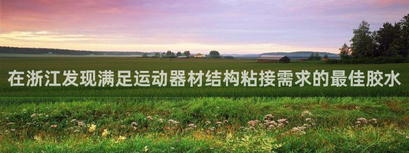 意昂体育3招商电话：在浙江发现满足运动器材结构粘接需