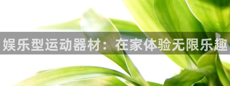意昂体育3：娱乐型运动器材：在家体验无限乐趣
