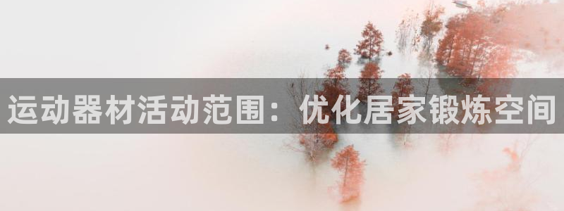 意昂体育3软件：运动器材活动范围：优化居家锻炼空间