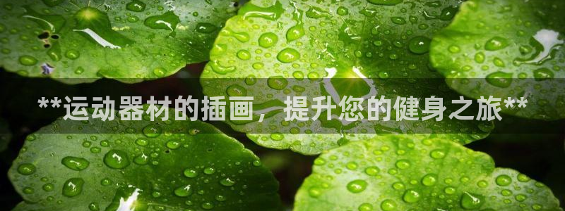 意昂3娱乐首页官网下载：**运动器材的插画，提升您的