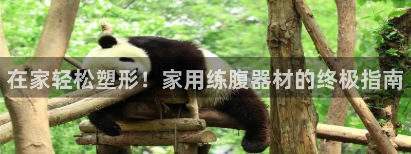 意昂3娱乐首页官网下载：在家轻松塑形！家用练腹器材的