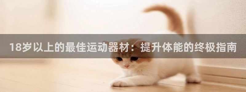 意昂3集团E.ON：18岁以上的最佳运动器材：提升体