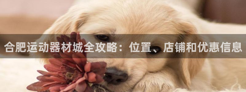 注册意昂3：合肥运动器材城全攻略：位置、店铺和优惠信