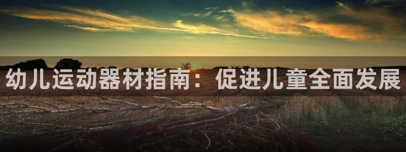 意昂体育3招商电话：幼儿运动器材指南：促进儿童全面发