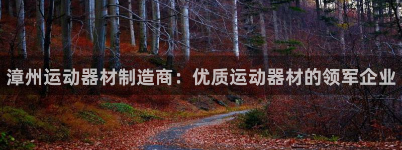 意昂体育3注册：漳州运动器材制造商：优质运动器材的领