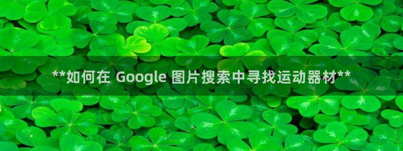 意昂3集团官网首页：**如何在 Google 图片搜