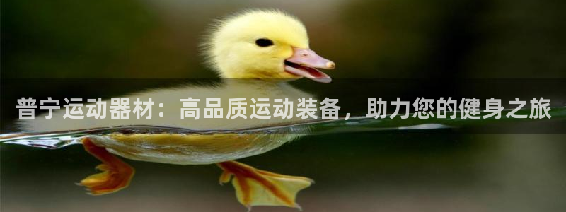 海南意昂体育3发展怎么样：普宁运动器材：高品质运动装