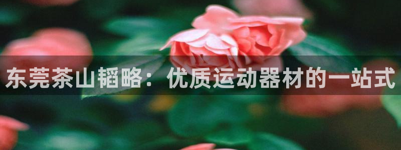 意昂3神州：东莞茶山韬略：优质运动器材的一站式