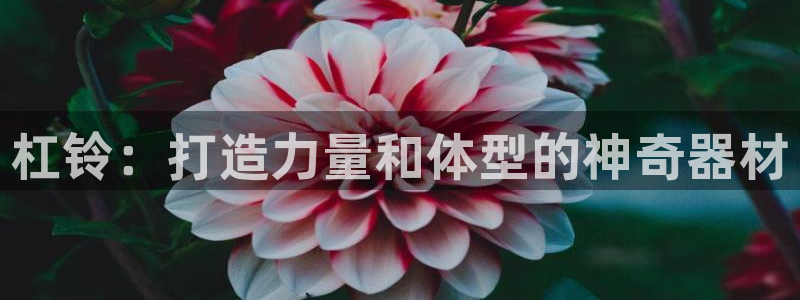意昂3娱乐下载：杠铃：打造力量和体型的神奇器材