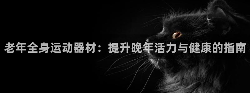 德国意昂3集团：老年全身运动器材：提升晚年活力与健康