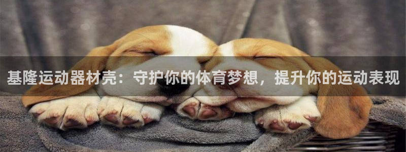 海南意昂体育3：基隆运动器材壳：守护你的体育梦想，提