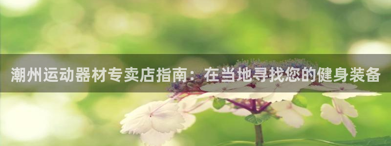 意昂3官网：潮州运动器材专卖店指南：在当地寻找您的健
