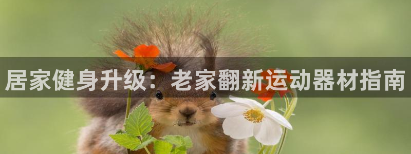 意昂3娱乐下载：居家健身升级：老家翻新运动器材指南